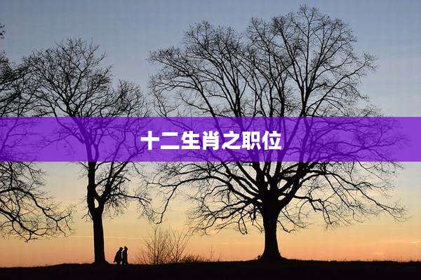 十二生肖之职位