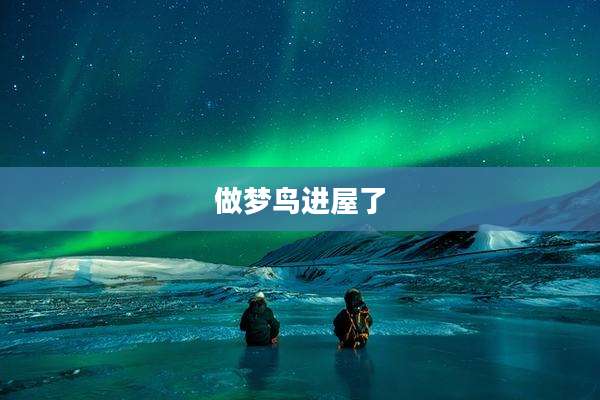 做梦鸟进屋了