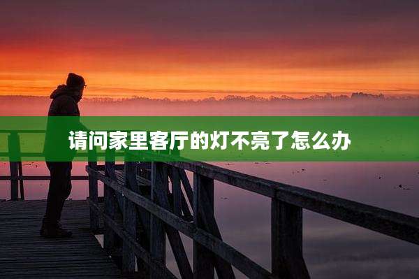 请问家里客厅的灯不亮了怎么办