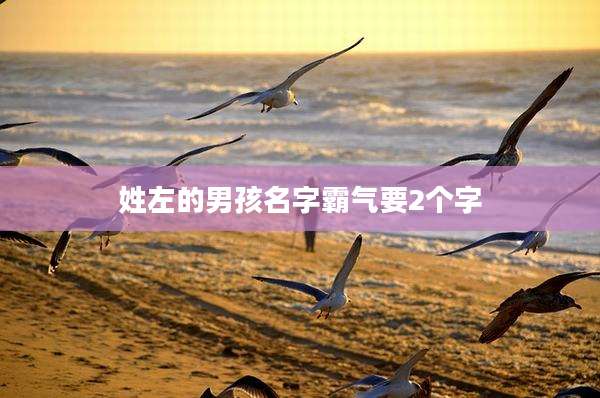 姓左的男孩名字霸气要2个字