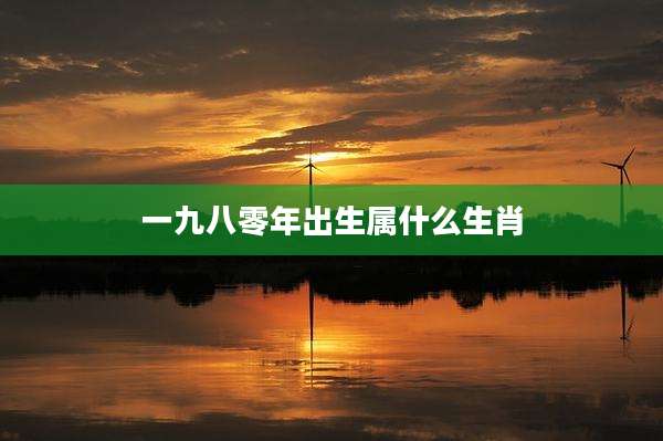 一九八零年出生属什么生肖