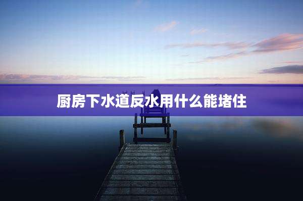 厨房下水道反水用什么能堵住