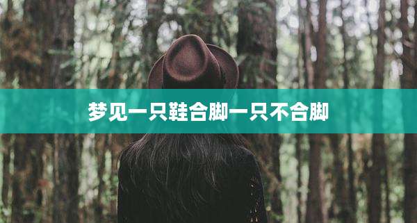 梦见一只鞋合脚一只不合脚