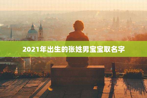 2021年出生的张姓男宝宝取名字