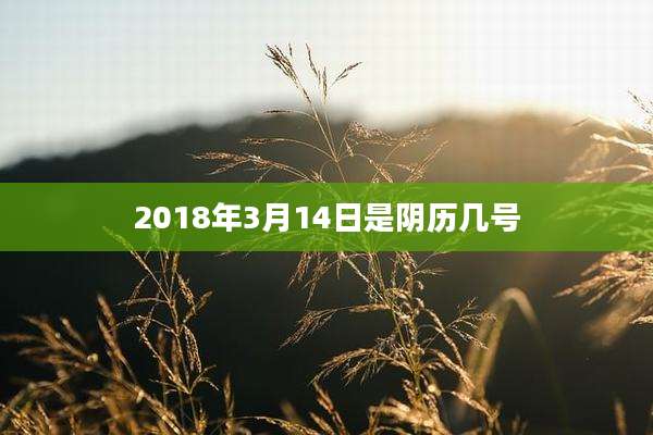 2018年3月14日是阴历几号