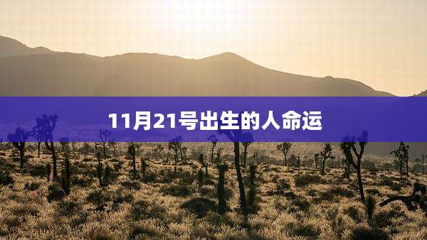 11月21号出生的人命运