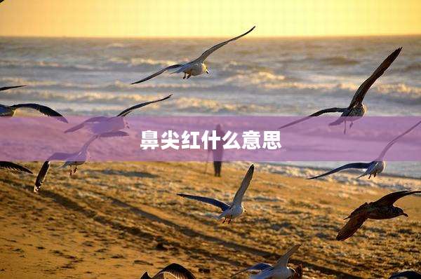 鼻尖红什么意思