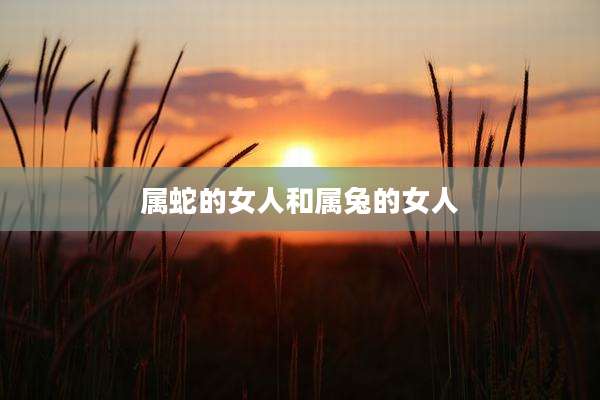 属蛇的女人和属兔的女人