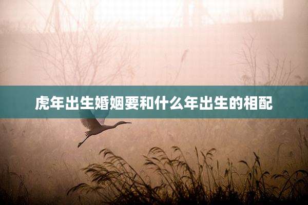 虎年出生婚姻要和什么年出生的相配