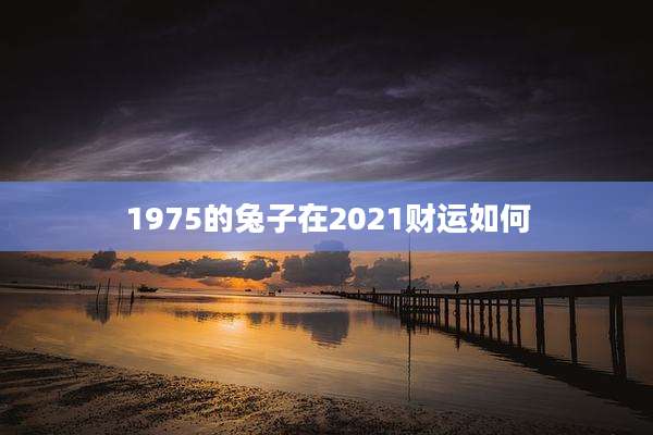 1975的兔子在2021财运如何