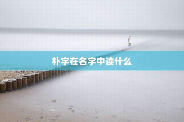 朴字在名字中读什么