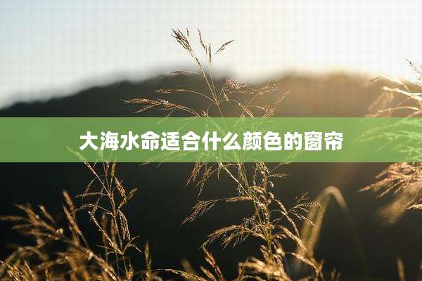 大海水命适合什么颜色的窗帘