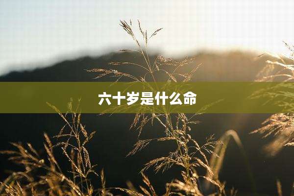 六十岁是什么命