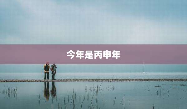 今年是丙申年