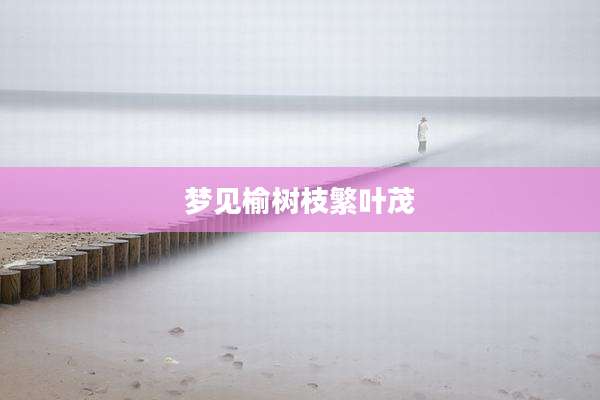 梦见榆树枝繁叶茂