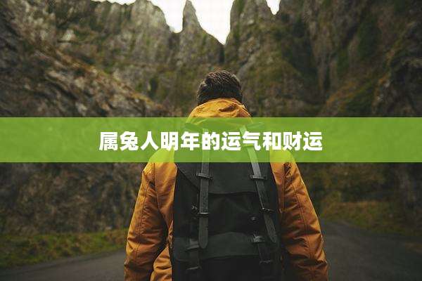 属兔人明年的运气和财运