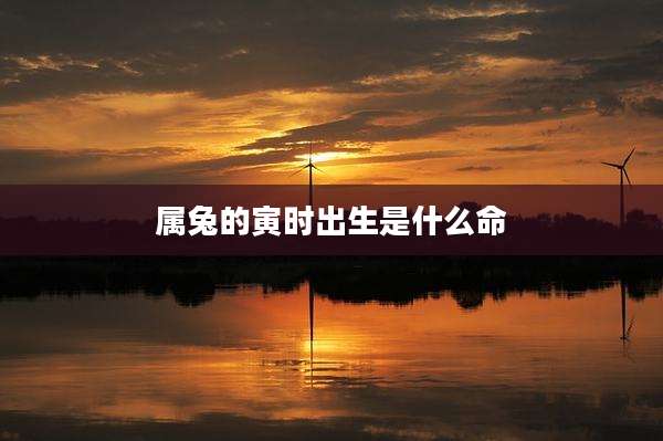 属兔的寅时出生是什么命