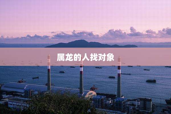属龙的人找对象