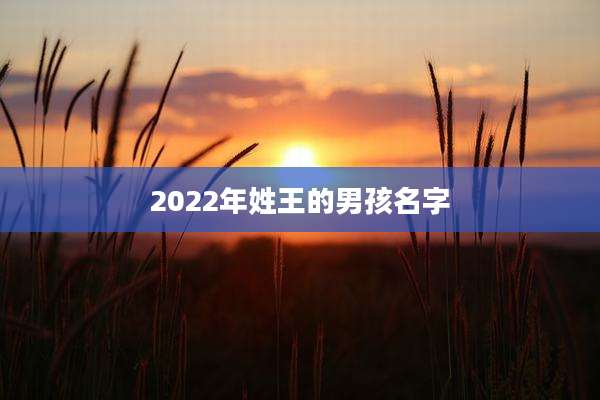 2022年姓王的男孩名字