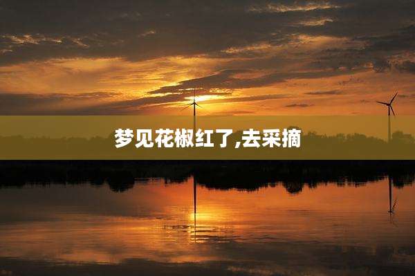 梦见花椒红了,去采摘