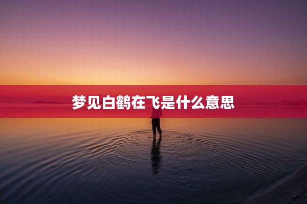 梦见白鹤在飞是什么意思
