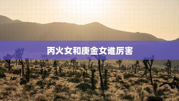 丙火女和庚金女谁厉害