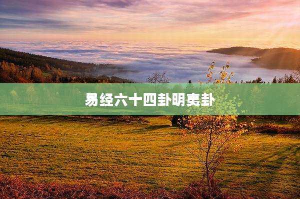 易经六十四卦明夷卦