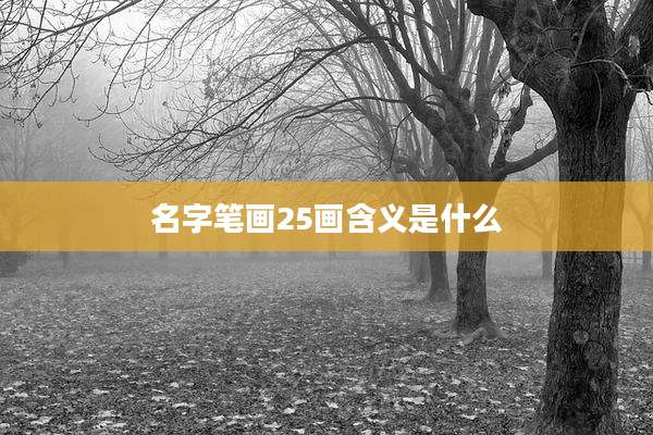 名字笔画25画含义是什么