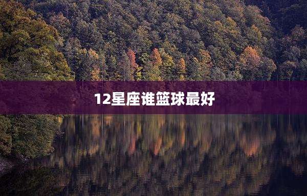 12星座谁篮球最好