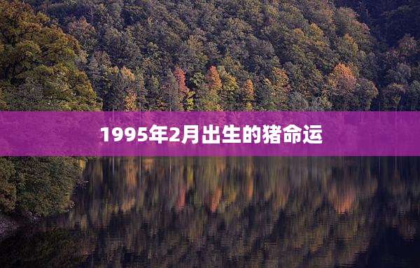 1995年2月出生的猪命运