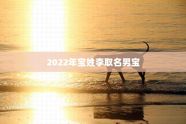 2022年宝姓李取名男宝