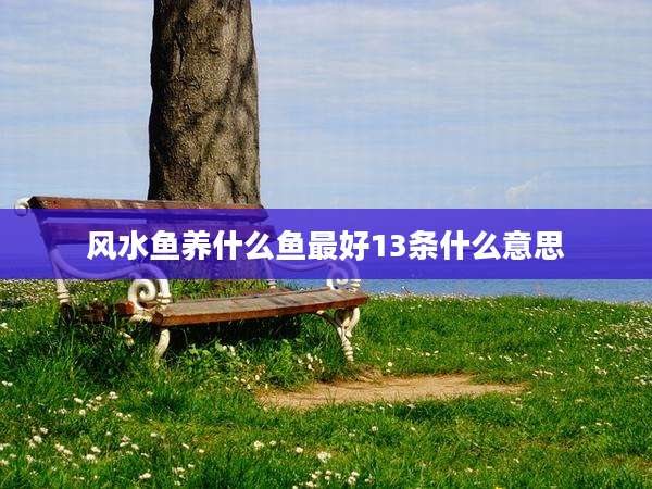 风水鱼养什么鱼最好13条什么意思