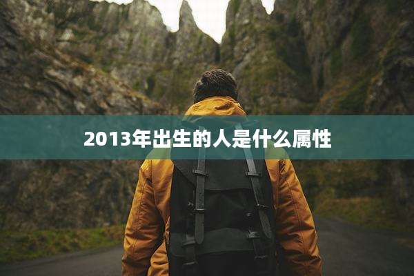 2013年出生的人是什么属性