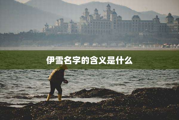 伊雪名字的含义是什么