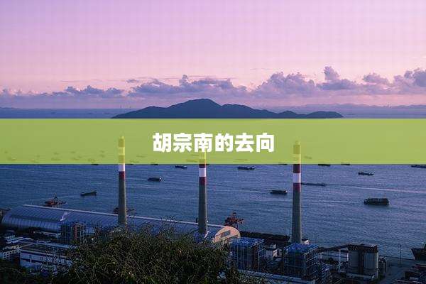 胡宗南的去向