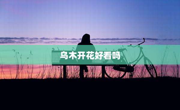 乌木开花好看吗