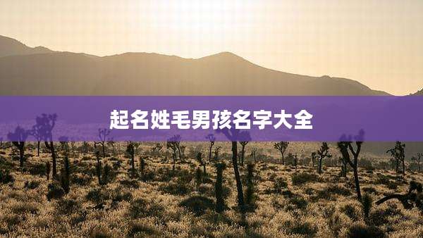 起名姓毛男孩名字大全