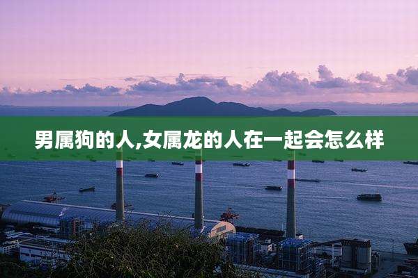 男属狗的人,女属龙的人在一起会怎么样