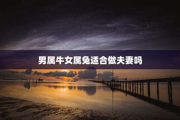 男属牛女属兔适合做夫妻吗