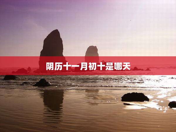 阴历十一月初十是哪天