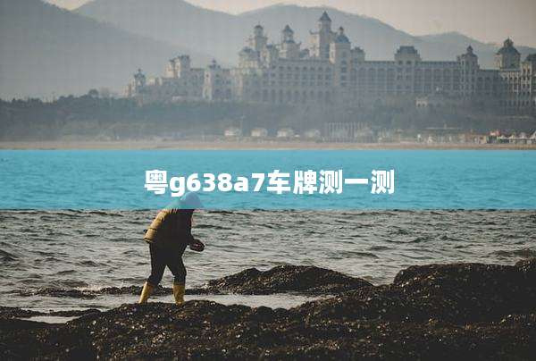粤g638a7车牌测一测