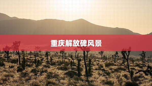 重庆解放碑风景