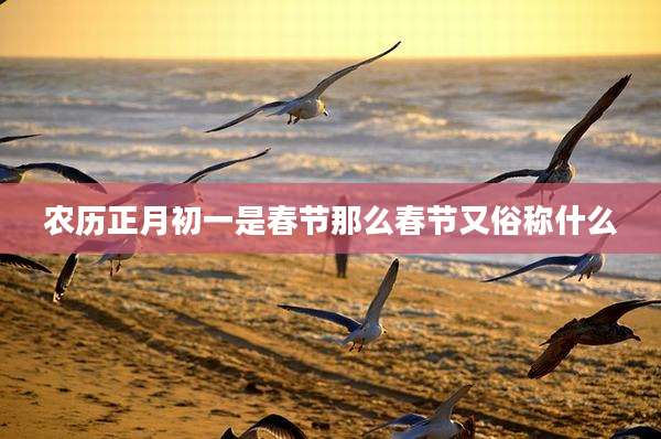 农历正月初一是春节那么春节又俗称什么