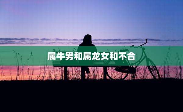 属牛男和属龙女和不合