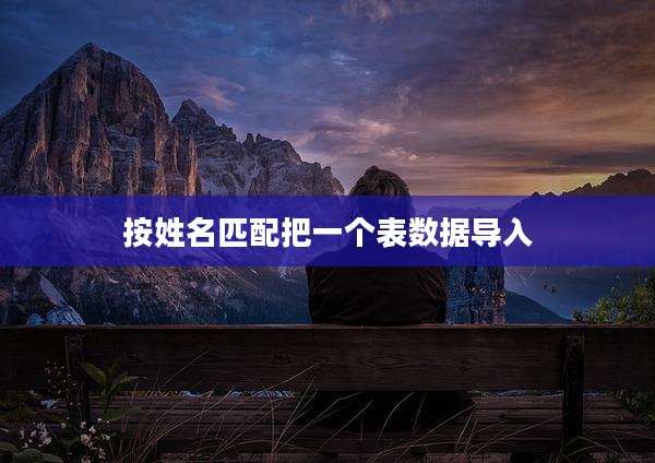 按姓名匹配把一个表数据导入