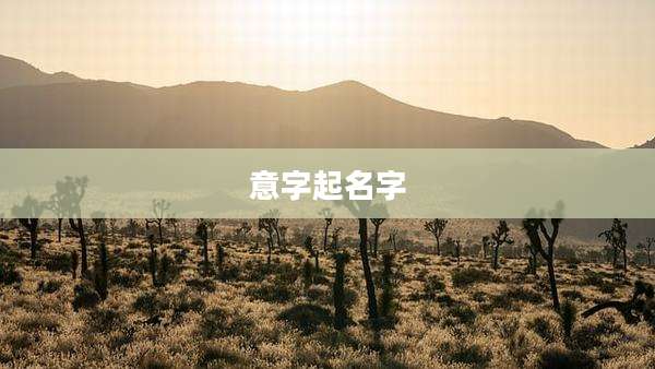 意字起名字