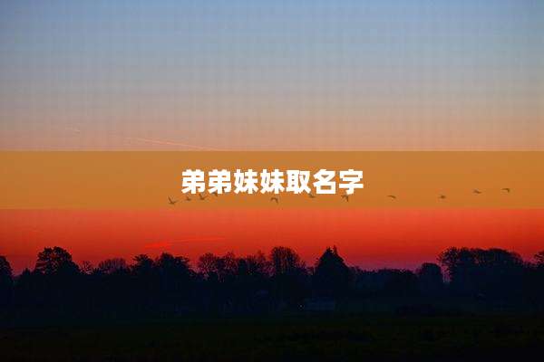 弟弟妹妹取名字