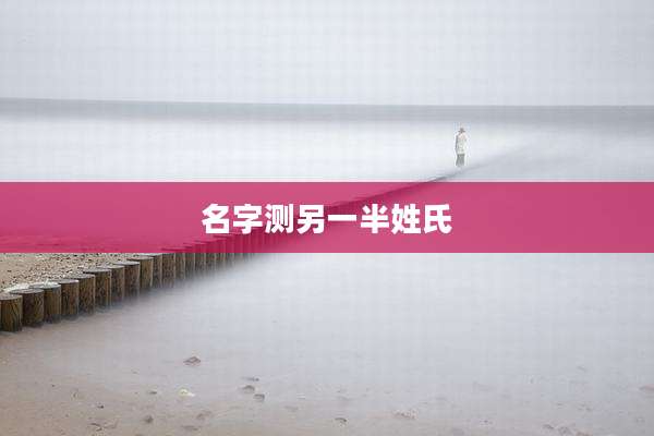 名字测另一半姓氏