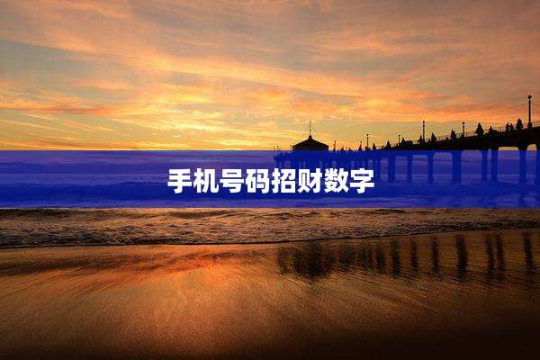 手机号码招财数字