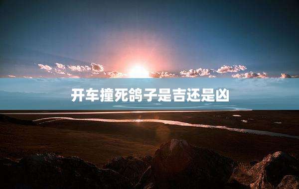 开车撞死鸽子是吉还是凶